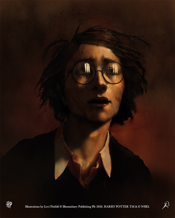 Harry potter et le prince de sang-mêlé grand livre illustré par levi pinfold chez les 3 Reliques boutique Harry Potter