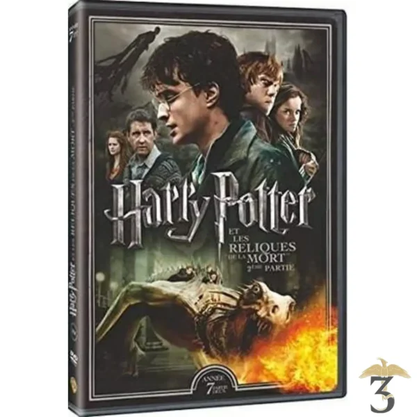 Harry potter et les reliques de la morts part2 dvd - Les Trois Reliques, magasin Harry Potter - Photo N°1