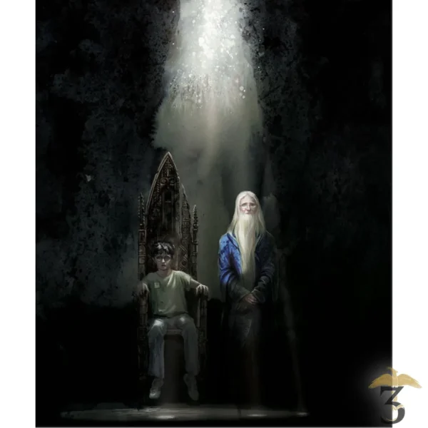 Harry Potter et l'Ordre du Phénix illustré par Jim Kay - Les Trois Reliques, magasin Harry Potter - Photo N°2
