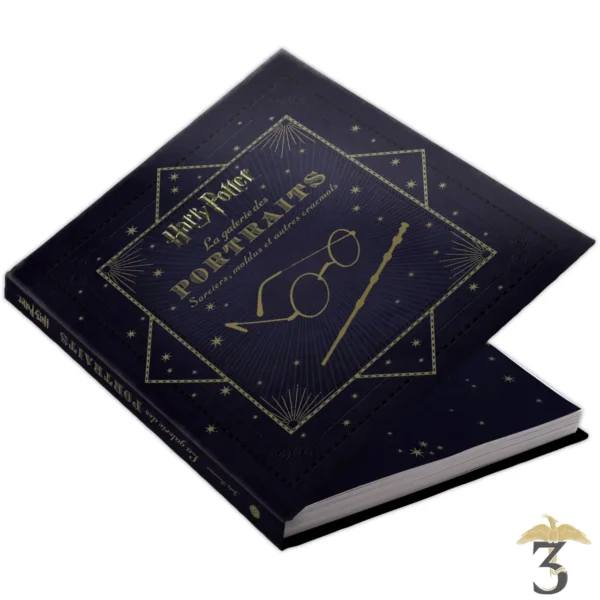 Harry Potter – La Galerie des Portraits en vente au magasin Harry Potter Les Trois Reliques, photo N°3