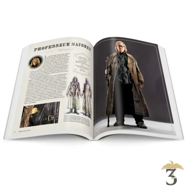 Harry Potter – La Galerie des Portraits en vente au magasin Harry Potter Les Trois Reliques, photo N°4