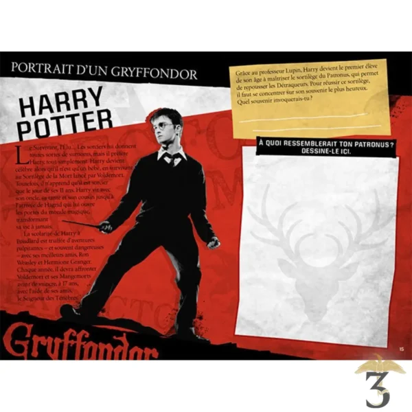 Harry Potter - Le Journal Créatif: Les Maisons de Poudlard - Les Trois Reliques, magasin Harry Potter - Photo N°4