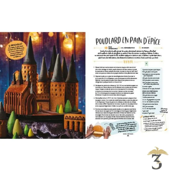 Harry Potter - Le Livre de Cuisine Officiel - Les Trois Reliques, magasin Harry Potter - Photo N°4