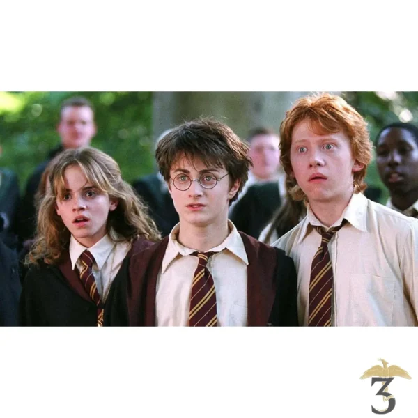 Harry potter l’intégral des 8 films blu-ray - Les Trois Reliques, magasin Harry Potter - Photo N°2