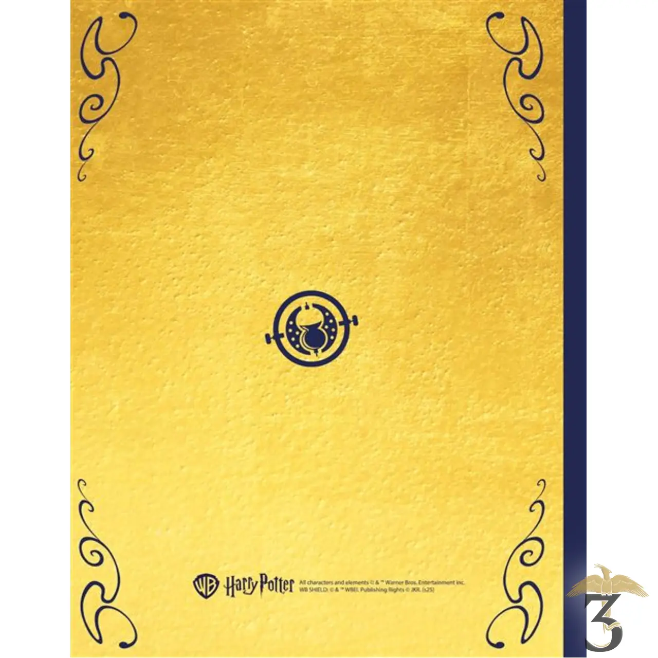 Harry potter – mon journal secret retourneur de temps pendentif - Les Trois Reliques, magasin Harry Potter - Photo N°2