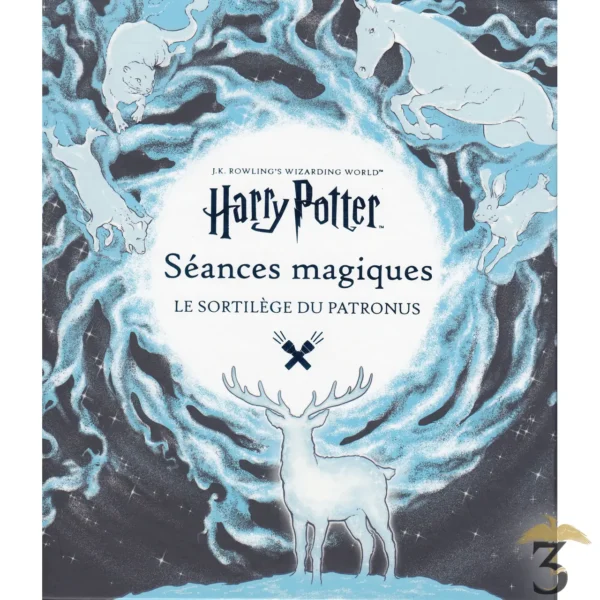 Harry Potter - Séances Magiques Le Sortilège du Patronus - Les Trois Reliques, magasin Harry Potter - Photo N°1