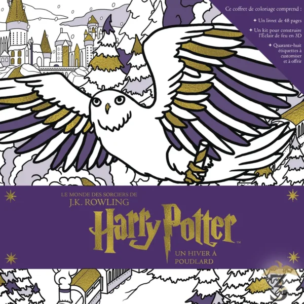 HARRY POTTER UN HIVER A POUDLARD - Les Trois Reliques, magasin Harry Potter - Photo N°1