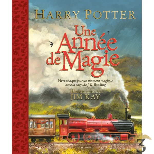 HARRY POTTER UNE ANNEE DE MAGIE ILLUSTRE PAR JIM KAY - Les Trois Reliques, magasin Harry Potter - Photo N°1