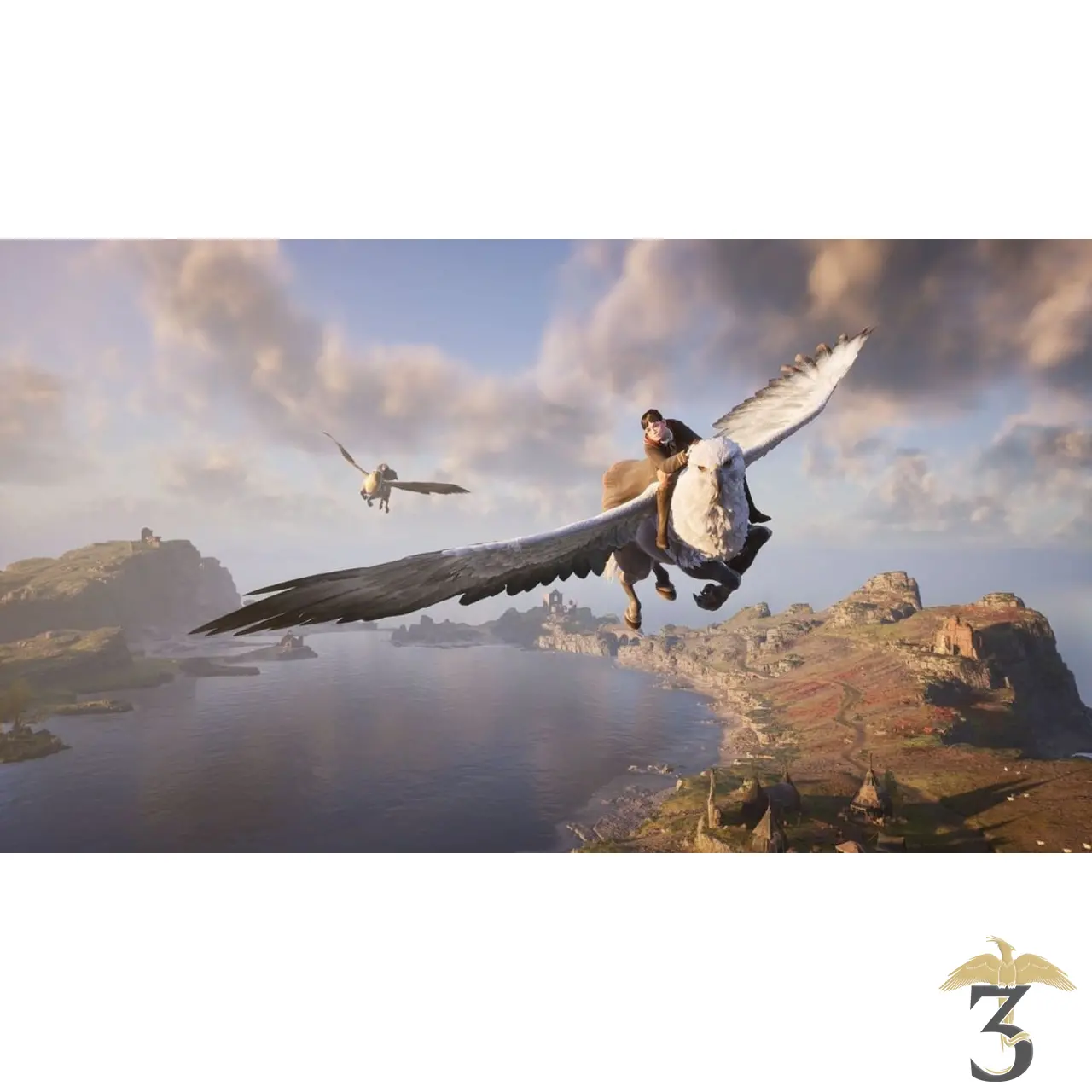 Hogwarts legacy xbox one - Les Trois Reliques, magasin Harry Potter - Photo N°2