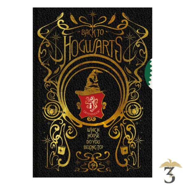 Journal back to hogwarts - Les Trois Reliques, magasin Harry Potter - Photo N°1