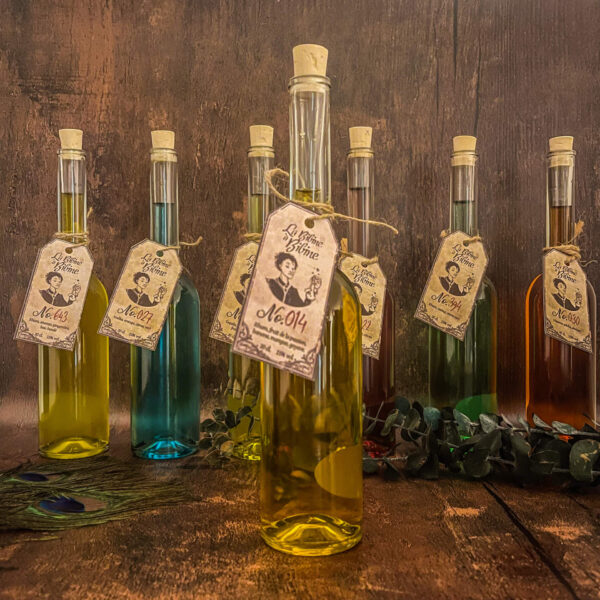 La bibine a bibine potion 014