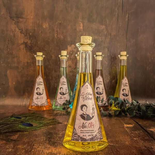 La bibine a bibine potion 014