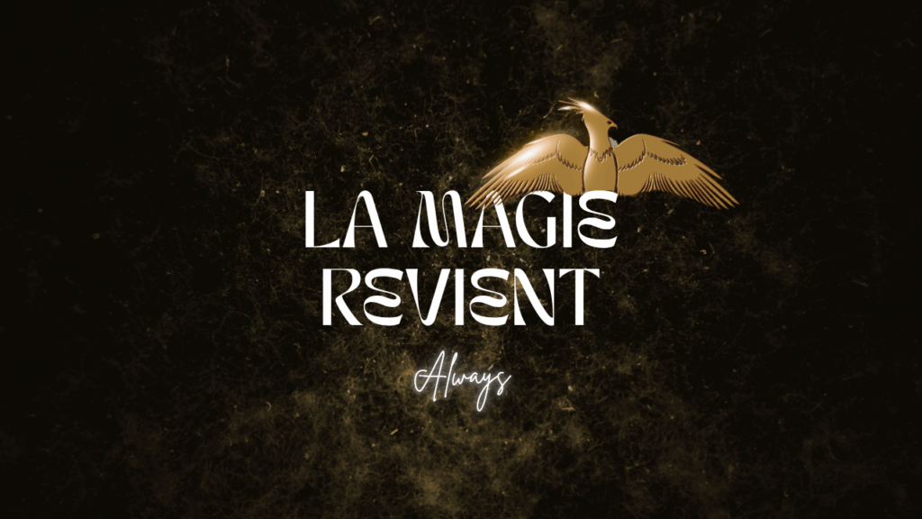 La magie revient réouverture de la boutique harry potter Les 3 Reliques bourg en bresse