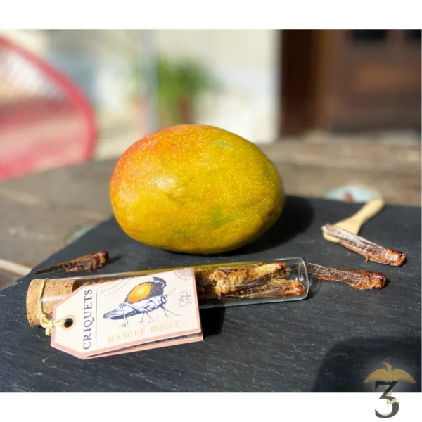 LAFRECA – CRIQUET MANGUE - Les Trois Reliques, magasin Harry Potter - Photo N°2