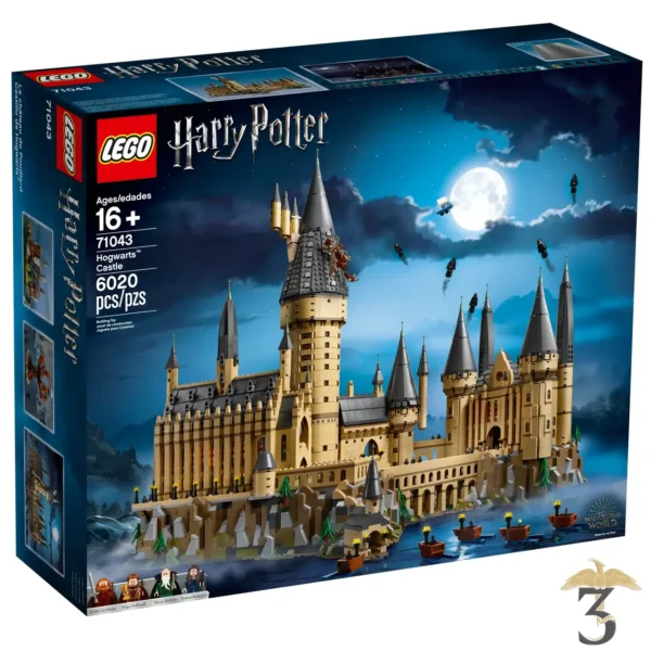 LEGO 71043 – CHATEAU POUDLARD - Les Trois Reliques, magasin Harry Potter - Photo N°1