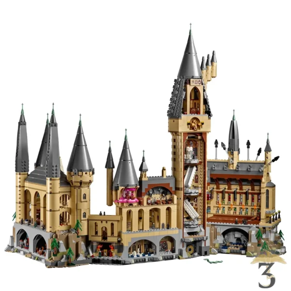 LEGO 71043 – CHATEAU POUDLARD - Les Trois Reliques, magasin Harry Potter - Photo N°3