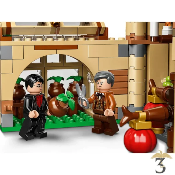 LEGO 75969 LA TOUR D ASTRONOMIE - Les Trois Reliques, magasin Harry Potter - Photo N°6