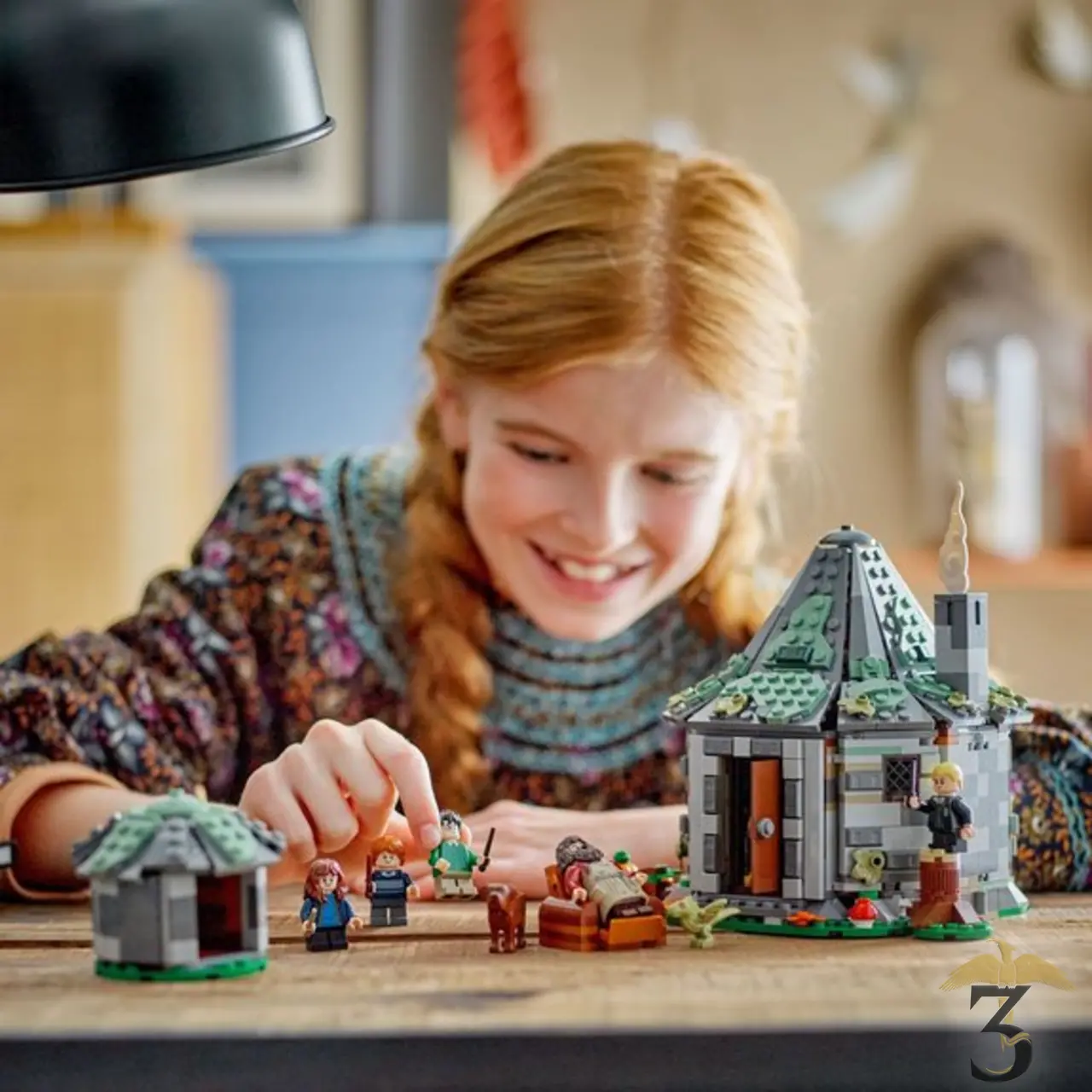 Lego 76428 la cabane de hagrid : une visite innatendue - Les Trois Reliques, magasin Harry Potter - Photo N°4