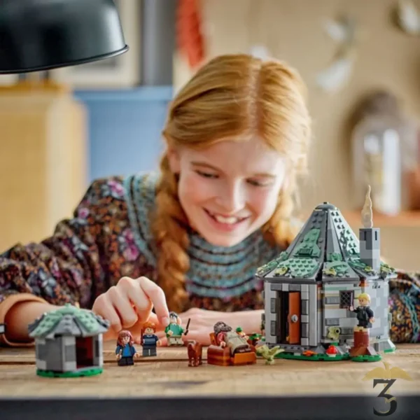 Lego 76428 la cabane de hagrid : une visite innatendue - Les Trois Reliques, magasin Harry Potter - Photo N°4