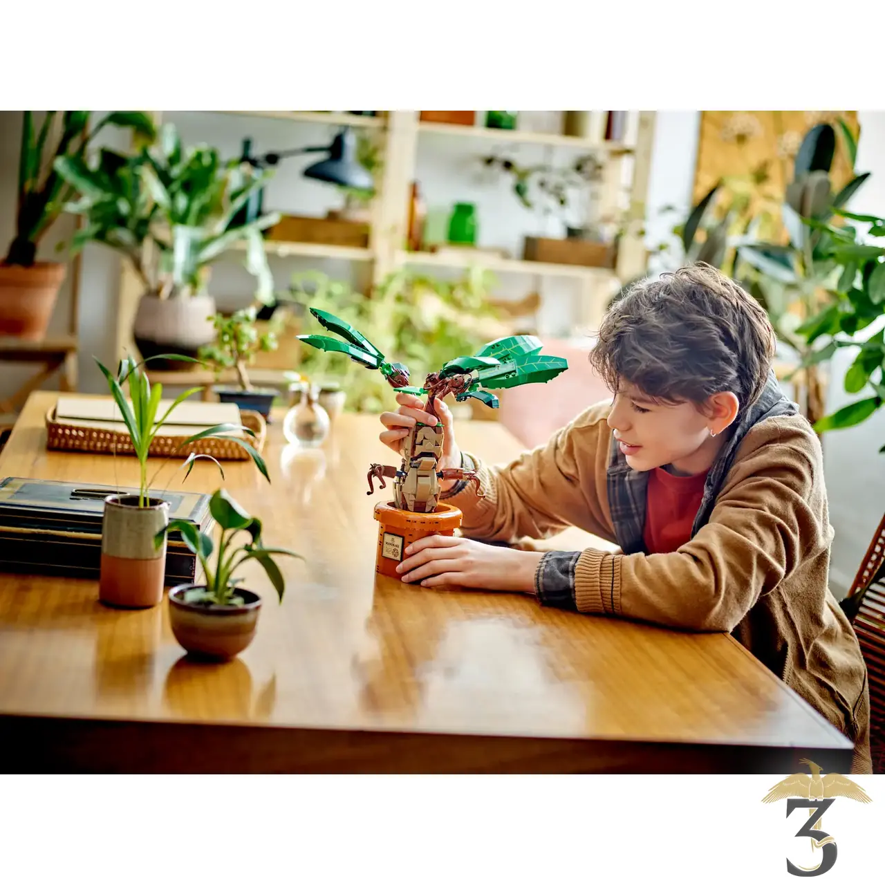 Lego 76433 mandragore - Les Trois Reliques, magasin Harry Potter - Photo N°6