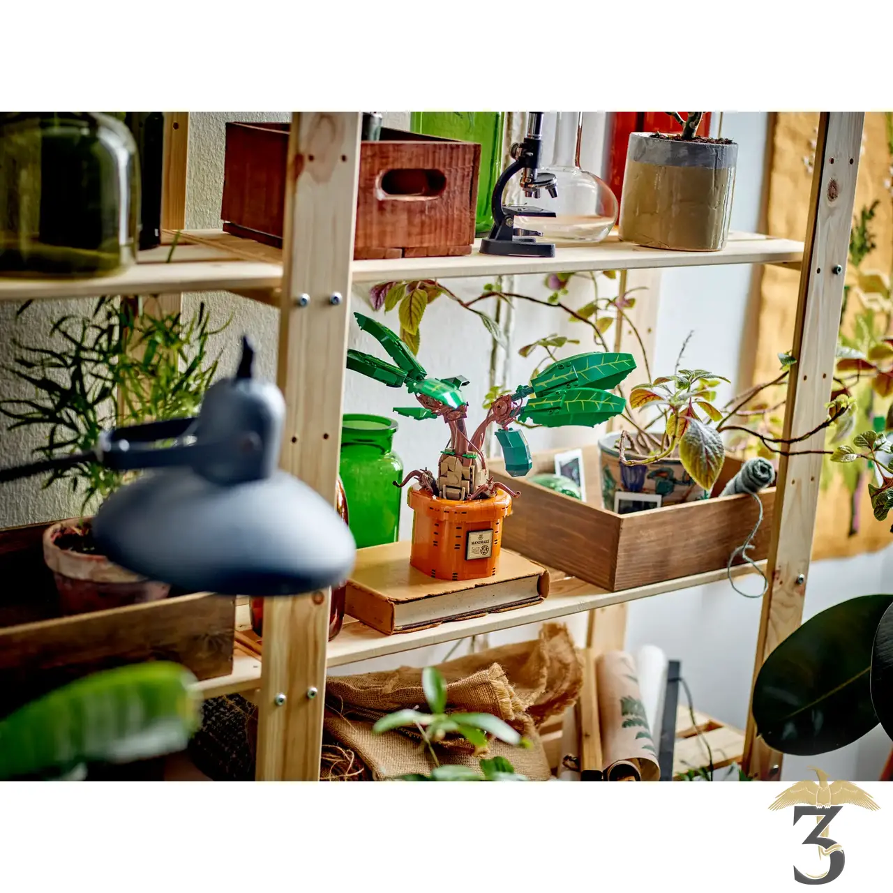 Lego 76433 mandragore - Les Trois Reliques, magasin Harry Potter - Photo N°9