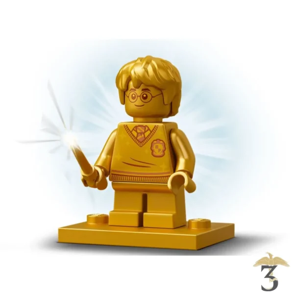LEGO® Harry Potter™ Poudlard : l’erreur de la potion Polynectar #76386 - Les Trois Reliques, magasin Harry Potter - Photo N°13