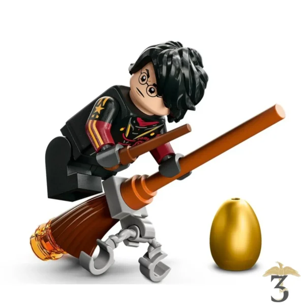 LEGO® Le Magyar à Pointes #76406 - Harry Potter - Les Trois Reliques, magasin Harry Potter - Photo N°6