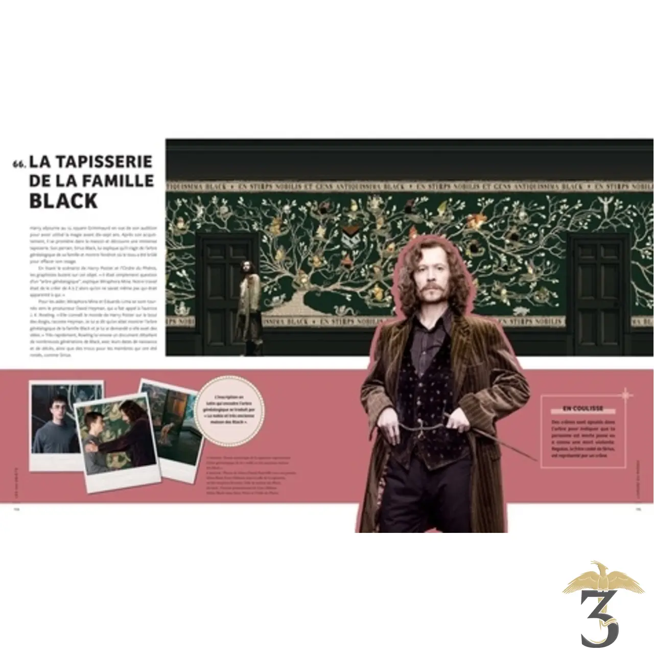 Les 100 objets culte et emblematiques de la saga – harry potter - Les Trois Reliques, magasin Harry Potter - Photo N°4