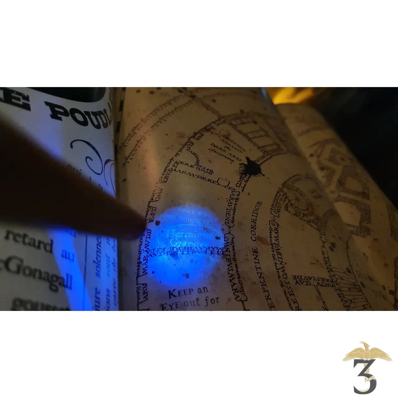 Livre La Carte du Maraudeur - Le Guide Magique - Les Trois Reliques, magasin Harry Potter - Photo N°3