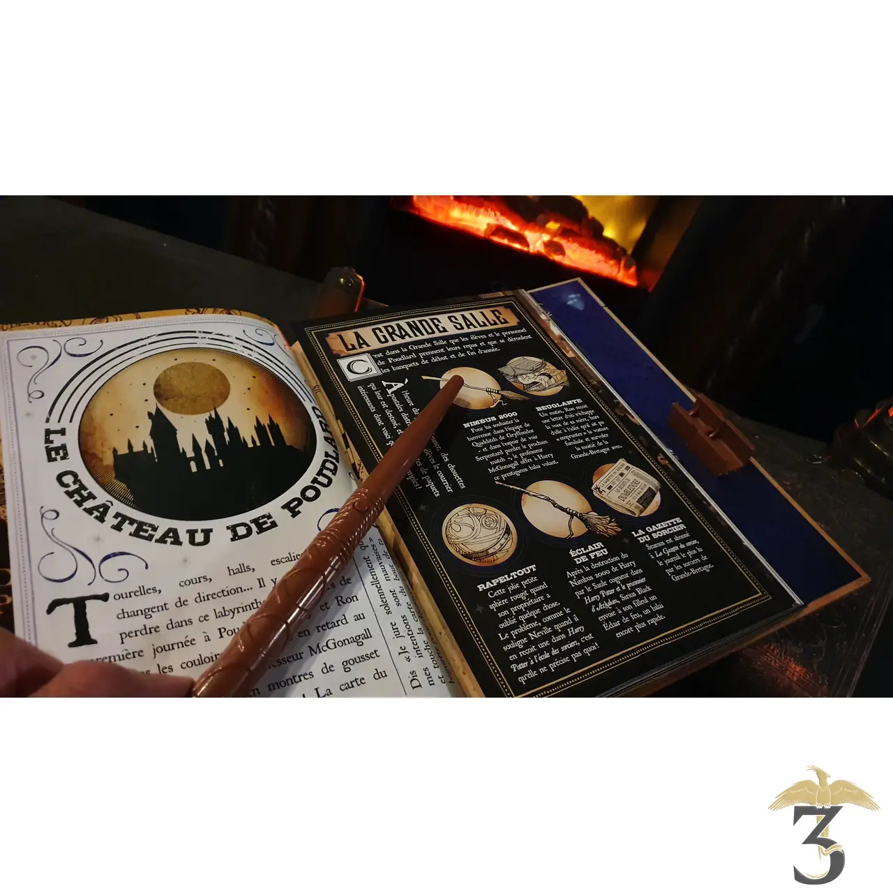 Livre La Carte du Maraudeur - Le Guide Magique - Les Trois Reliques, magasin Harry Potter - Photo N°5