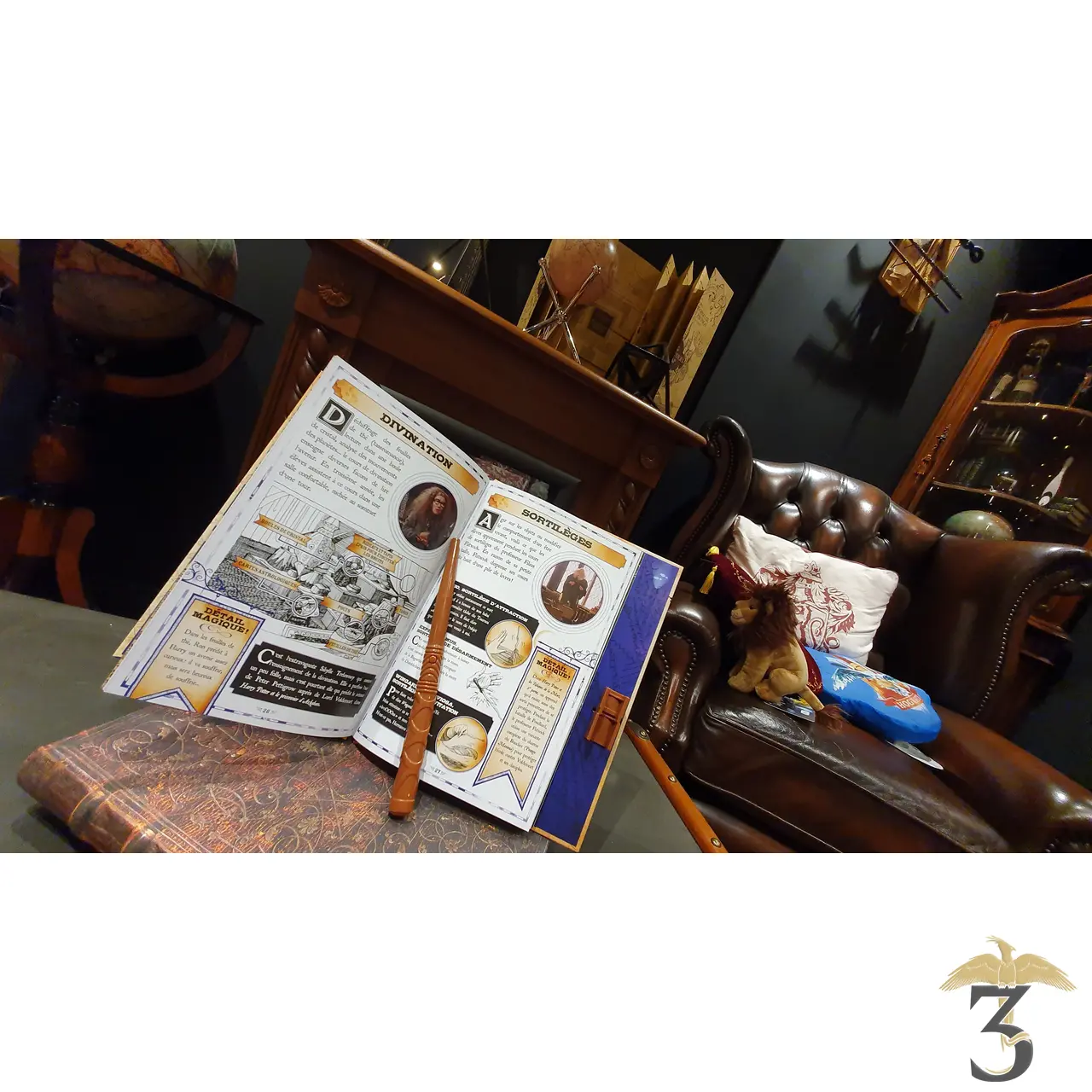 Livre La Carte du Maraudeur - Le Guide Magique - Les Trois Reliques, magasin Harry Potter - Photo N°6