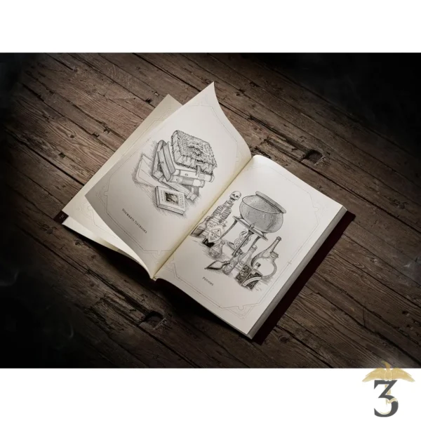 Livre magique Harry Potter – theory11 - Les Trois Reliques, magasin Harry Potter - Photo N°6