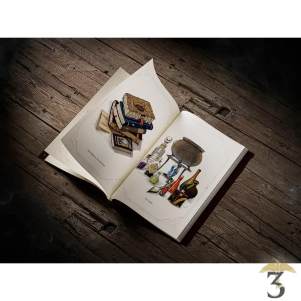 Livre magique Harry Potter – theory11 - Les Trois Reliques, magasin Harry Potter - Photo N°7