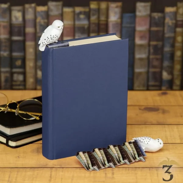 Marque-pages hedwige sur pile de livres - Les Trois Reliques, magasin Harry Potter - Photo N°3