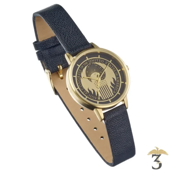 MONTRE MACUSA - Les Trois Reliques, magasin Harry Potter - Photo N°1