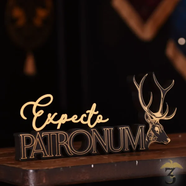 Mot décoratif expecto patronum - Les Trois Reliques, magasin Harry Potter - Photo N°3