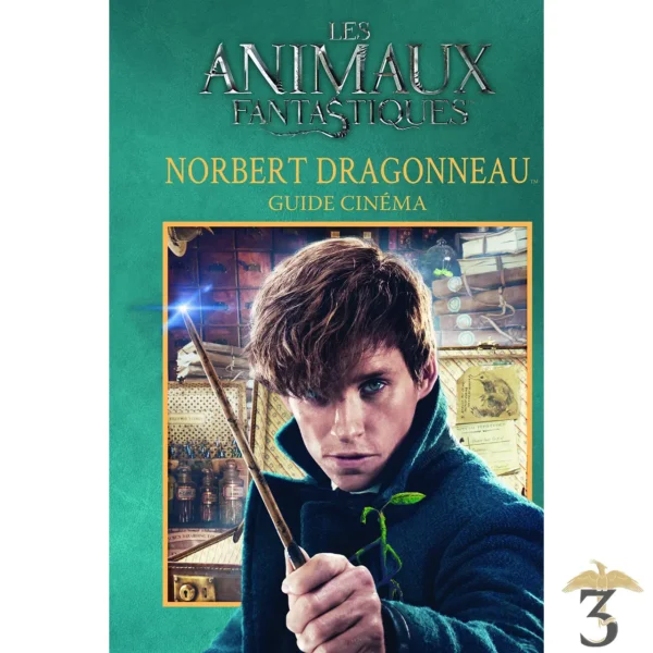 NORBERT DRAGONNEAU GUIDE CINEMA - Les Trois Reliques, magasin Harry Potter - Photo N°1