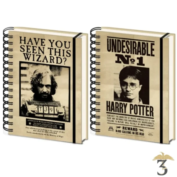 NOTEBOOK SIRIUS/HARRY - Les Trois Reliques, magasin Harry Potter - Photo N°1