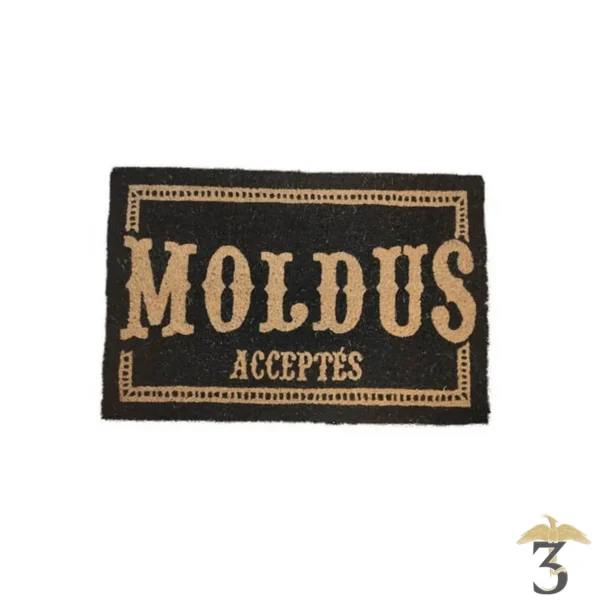 PAILLASSON MODLUS ACCEPTES - Les Trois Reliques, magasin Harry Potter - Photo N°1