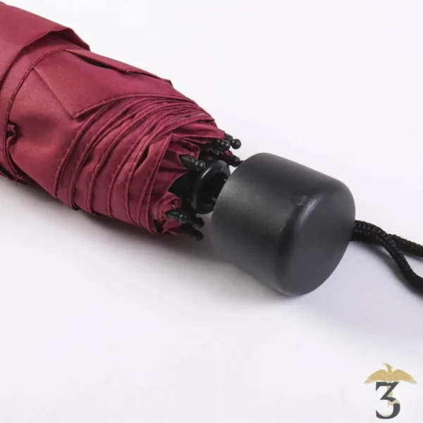 Cerdá - Parapluie Automatique pour Enfants Harry Potter - Licence  Officielle Warner Bros : : Mode