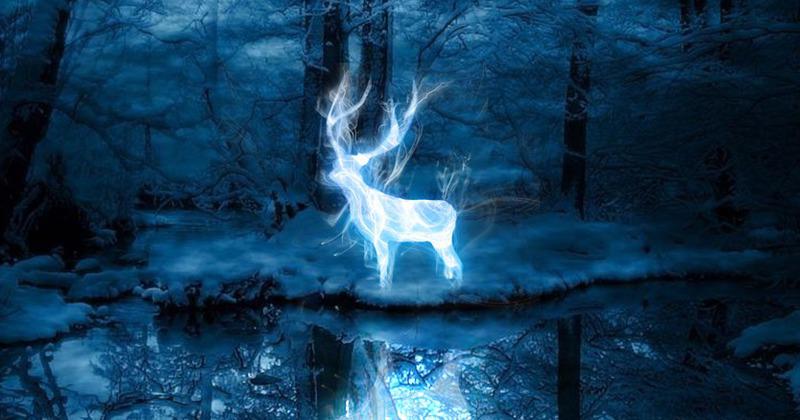 Patronus Harry Potter chez les 3 Reliques boutique Harry Potter Lyon