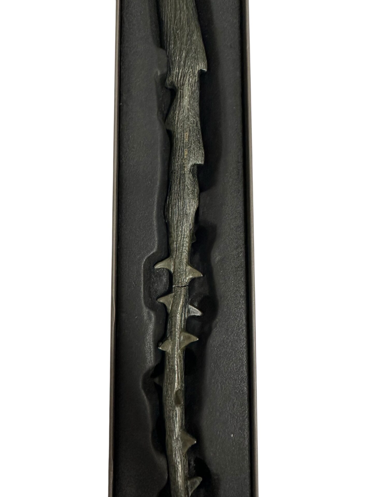 Photoroom_001_20250826_123456