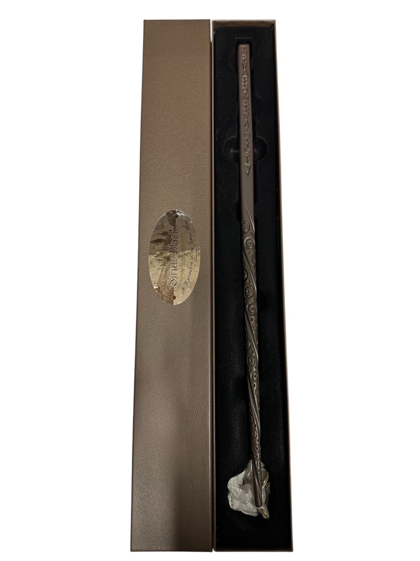 Photoroom_003_20250825_122135