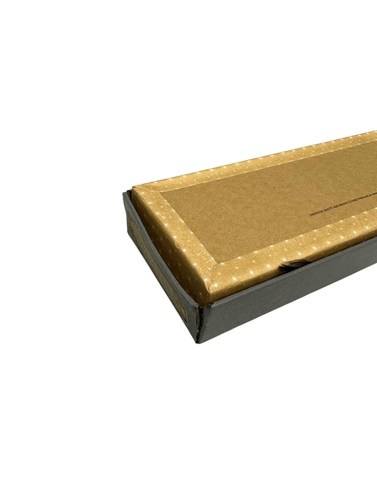 Photoroom_004_20250807_122428