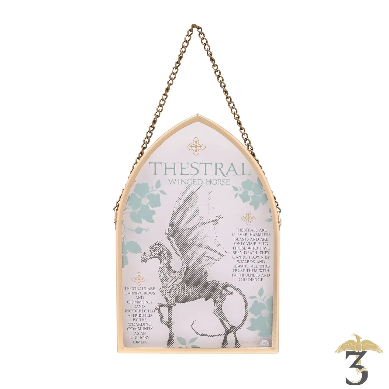 Plaque en verre voutee suspendue sombral - Les Trois Reliques, magasin Harry Potter - Photo N°1