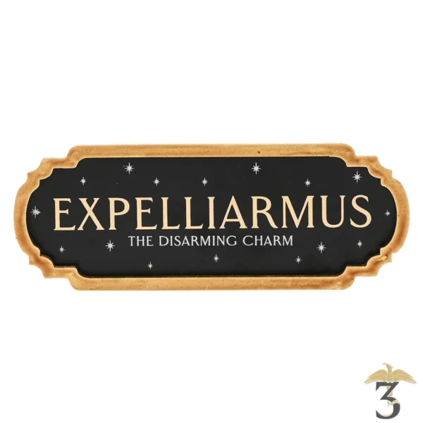 Plaque mural expelliarmus - Les Trois Reliques, magasin Harry Potter - Photo N°1