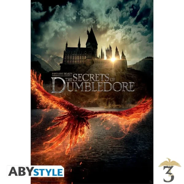 Poster du film - Les Secrets de Dumbledore - Les Trois Reliques, magasin Harry Potter - Photo N°1