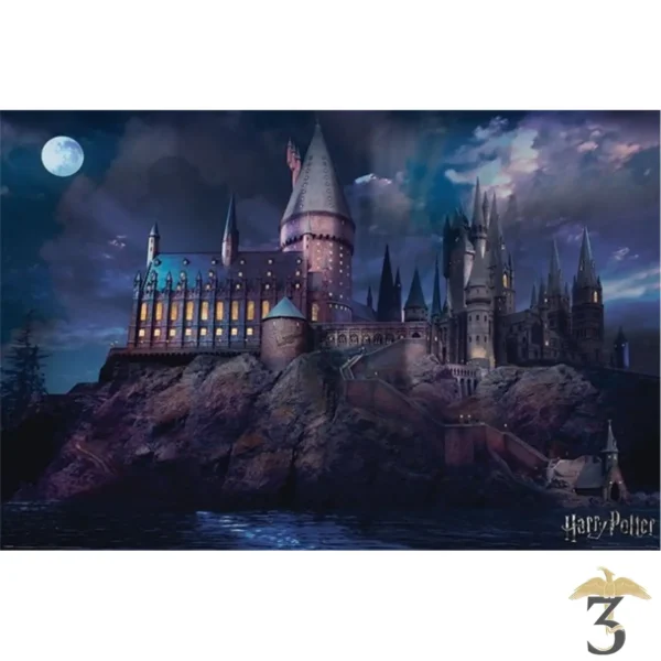 POSTER HARRY POTTER (HOGWARTS) - Les Trois Reliques, magasin Harry Potter - Photo N°1