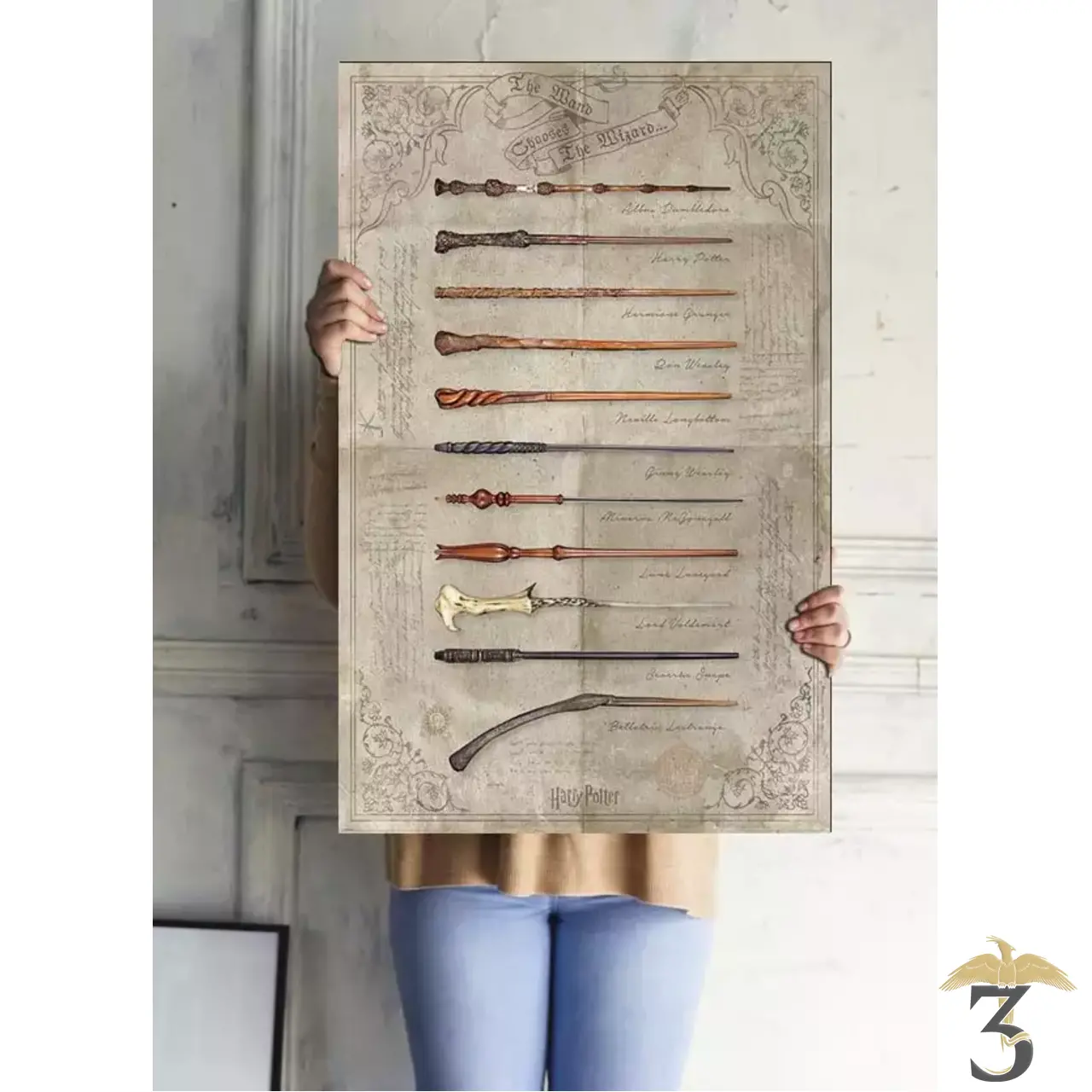 POSTER HARRY POTTER (THE WAND CHOOSES THE WIZARD) - Les Trois Reliques, magasin Harry Potter - Photo N°2