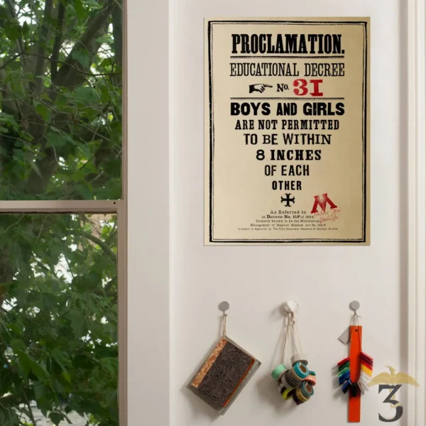 Poster Proclamation N°31 - MinaLima - Les Trois Reliques, magasin Harry Potter - Photo N°2